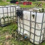 IBC Descartado na Natureza